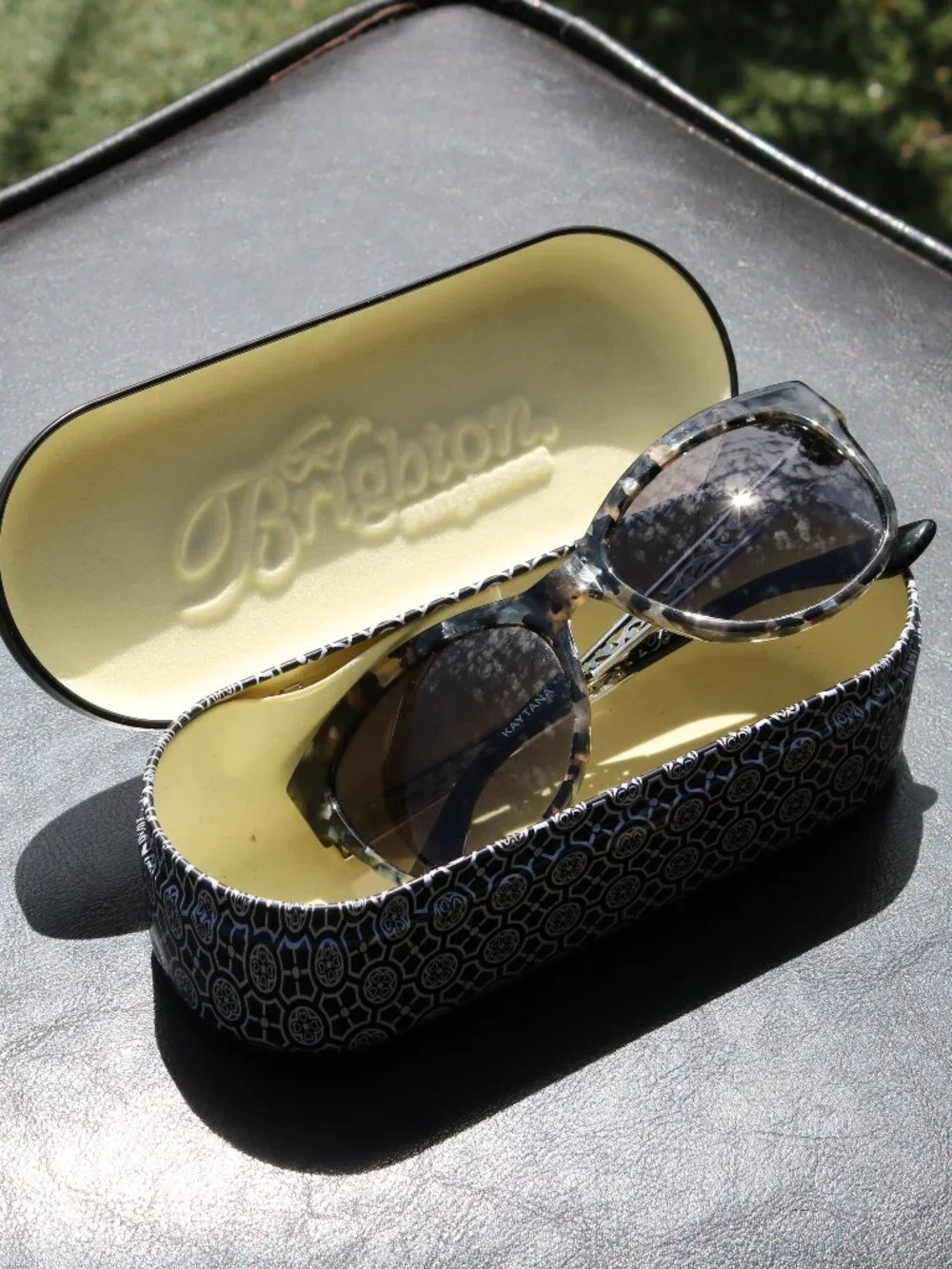 Brighton Ferrara Gatta Sunglasses